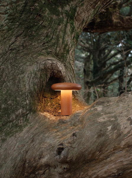 Baobab Tree Lamp