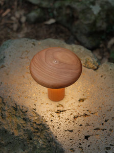 Baobab Tree Lamp